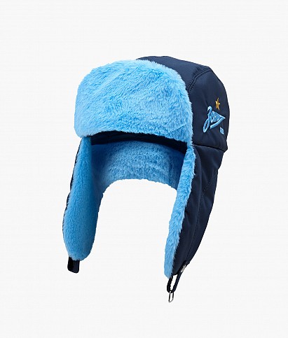 hat with earflaps